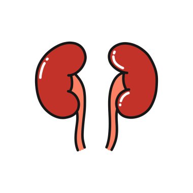 İnsan böbrekleri karalama ikonu, vektör illüstrasyonu