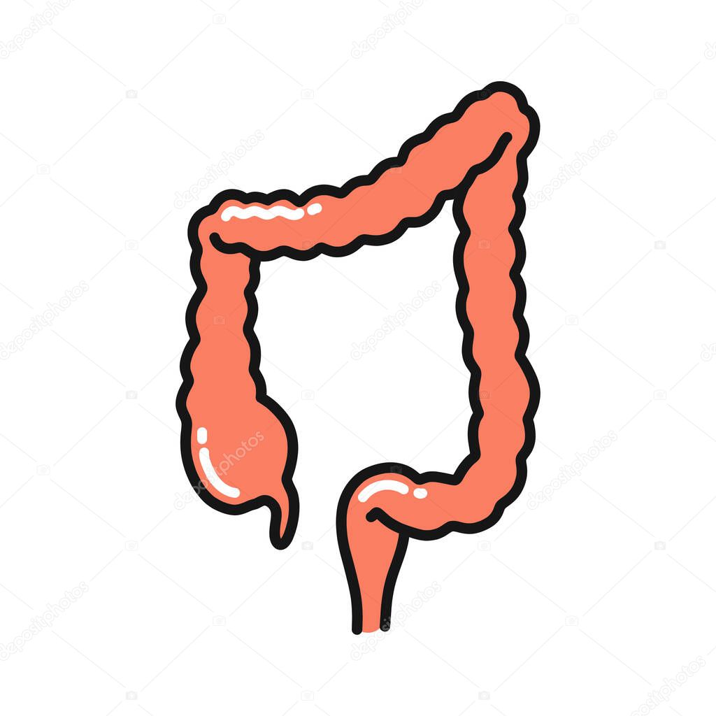 human colon doodle icon, vector color illustration