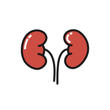 İnsan böbrekleri karalama simgesi, vektör rengi çizimi