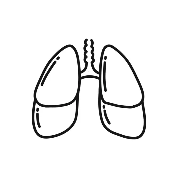 Nsan Ciğerleri Karalama Simgesi Vektör Çizgisi Çizimi — Stok Vektör