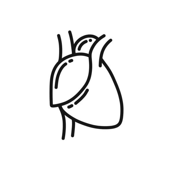 Menschliches Herz Doodle Symbol Vektorzeilen Illustration — Stockvektor