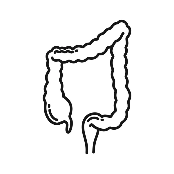 Иконка Рисунком Толстой Кишки Векторная Линия — стоковый вектор
