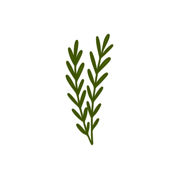 Rosemary Doodle Icon Vector Color Illustration — 스톡 벡터