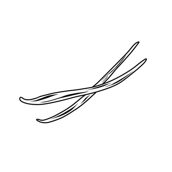 Vanille Sticks Doodle Symbol Vektorzeilen Illustration — Stockvektor