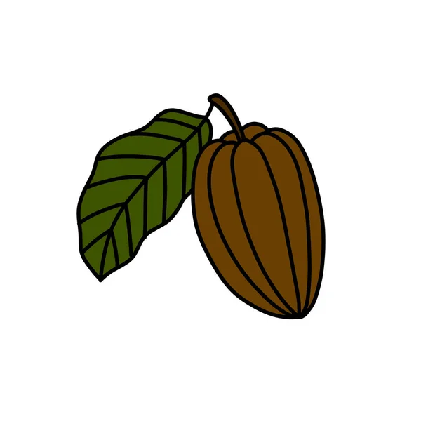 Ícone Doodle Frutas Cacau Ilustração Cor Vetorial — Vetor de Stock