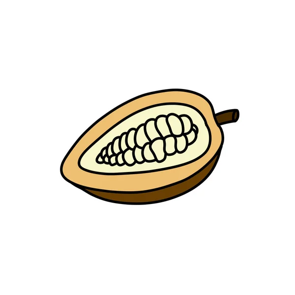 Kakaofrucht Doodle Symbol Vektorfarbenillustration — Stockvektor