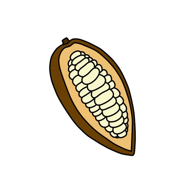 Kakaofrucht Doodle Symbol Vektorfarbenillustration — Stockvektor