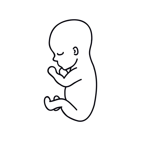 胎児の人形のアイコンベクトル線イラスト — ストックベクタ