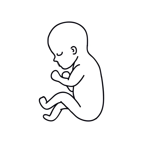 Fetus Doodle Icono Ilustración Línea Vectorial — Archivo Imágenes Vectoriales