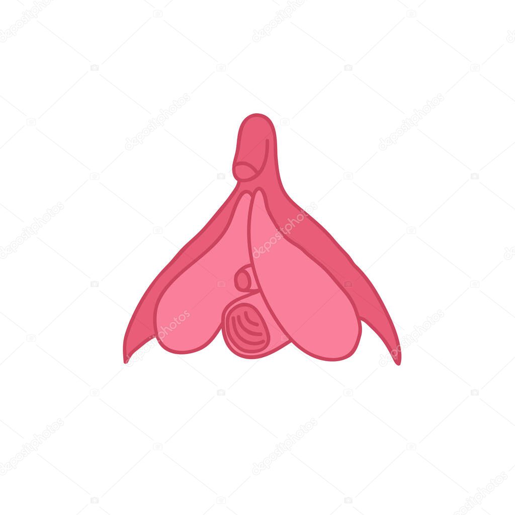 clitoris doodle icon, vector color illustration
