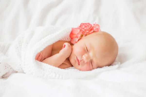 Baby tugged in white blanket — Stock Photo, Image