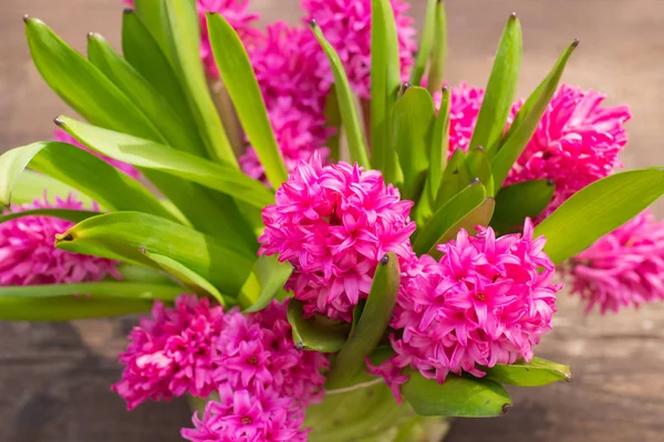 Bouquet of fresh pink spring flowers — Stock Photo, Image
