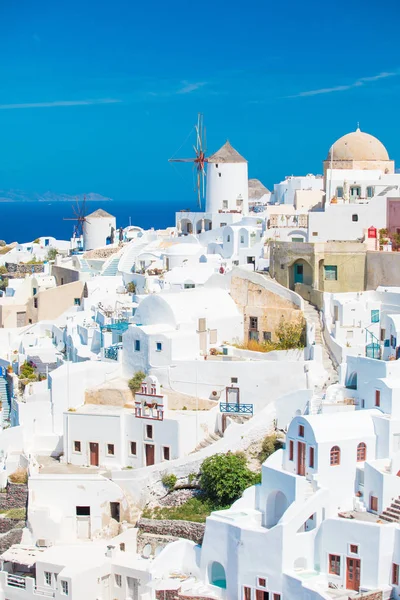ギリシャ、サントリーニ島のホースの垂直写真 — ストック写真