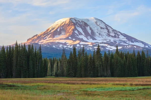 Güzel renkli görüntü Mount Adams