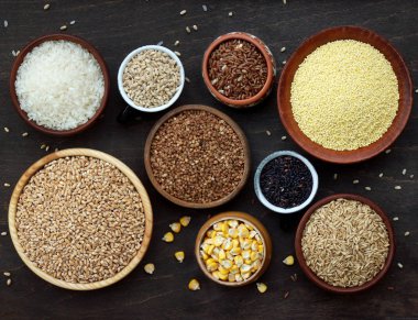 farklı tahıl ve tohum kabın içinde ürün yelpazesine: buğday, yulaf, arpa, pirinç, darı, buğday, Mısır.