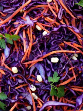 Mor lahana, havuç, Filiz mung, maydanoz koyu arka plan üzerinde gri kil plaka üzerinde taze sebze salatası. Kırmızı lahana lahana salatası salata.