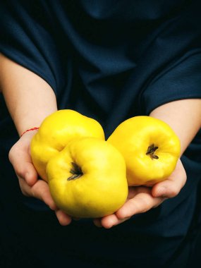 Üç olgun sarı Ayva