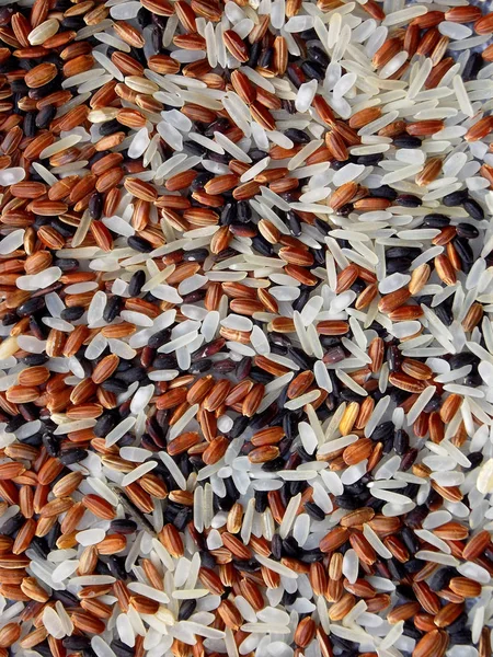 Food background of different types rice: white glutinous, black, basmati, brown and mixed rice.  Top view.