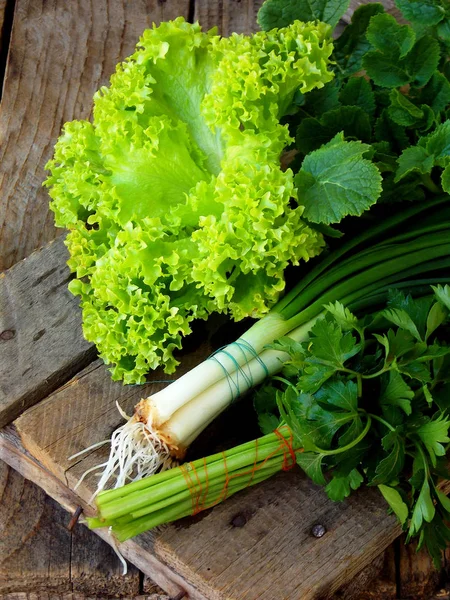 Verde primavera per insalata su uno sfondo di legno. Cipolla, lattuga, prezzemolo, foglie di ravanello . — Foto Stock