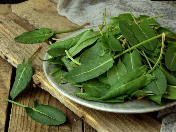 Verse biologische sorrel laat in metalen plaat op houten achtergrond. Gezonde voeding-concept. — Stockfoto