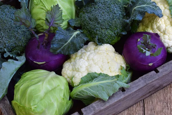 Composizione da diverse varietà di cavolo su fondo di legno. Cavolfiore, cavolo rapa, broccolo, cavolo cappuccio bianco. Verdure fresche biologiche. Posa piatta . — Foto Stock