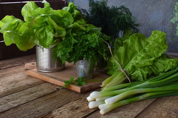 Composizione di erbe e verdure verdi. Miscela primaverile biologica per insalata su sfondo marrone in legno. Cipolla, lattuga, prezzemolo, porri, aneto, bietola . — Foto Stock