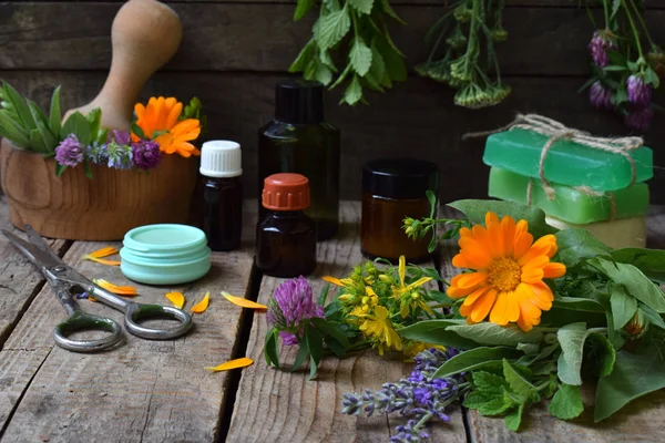 Composizione di erbe fresche e fiori usati in medicina alternativa naturale o cosmetologia per preparazione di cosmetici, crema, sapone, rossetto, sale da bagno, olio. Salvia, lavanda, calendula, trifoglio, achillea — Foto Stock