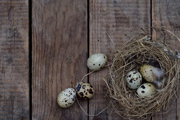 Ensemble de différents types d'œufs d'oiseaux de poulet, faisan et caille avec des plumes sur un fond en bois . — Photo
