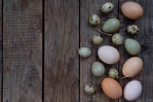 Farklı kuşlar yumurtadan tavuk, sülün ve bıldırcın tüy ahşap zemin ile kümesi.