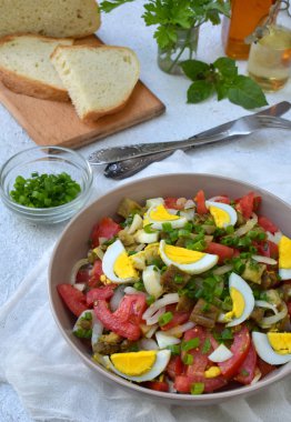 Salata dan fırında patlıcan, soğan, domates, yumurta, zeytinyağı ve elma sirkesi hafif bir arka plan üzerinde giyinmiş. Kopya alanı