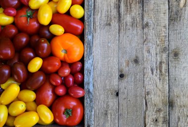 Organik domates farklı çeşitleri ve renk mezarda. Sağlıklı gıda.