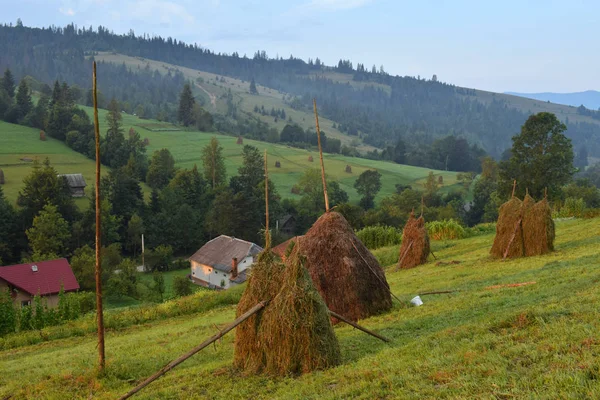 Yamaca geleneksel saman yığınları ile dağlarda yaz manzara. Karpatlar tipik kırsal manzara — Stok fotoğraf