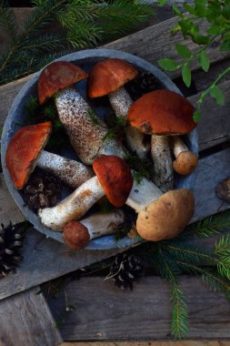 Kırmızı bere çörek ahşap arka plan üzerinde kase ayarlayın. Kahverengi yabani mantar. Yenilebilir mantar Leccinum Aurantiacum ormanda toplanan..