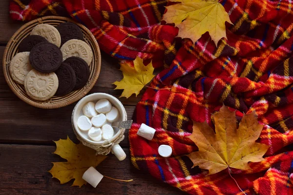 Coupe de cacao avec guimauve, biscuit au chocolat et biscuit aux arachides, livre, couverture. Détente d'automne, style de vie champêtre, détente saisonnière ou concept de vacances rurales . — Photo