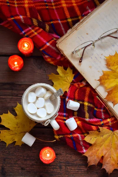 Coupe de cacao avec guimauve, biscuit au chocolat et biscuit aux arachides, livre, couverture. Détente d'automne, style de vie champêtre, détente saisonnière ou concept de vacances rurales . — Photo