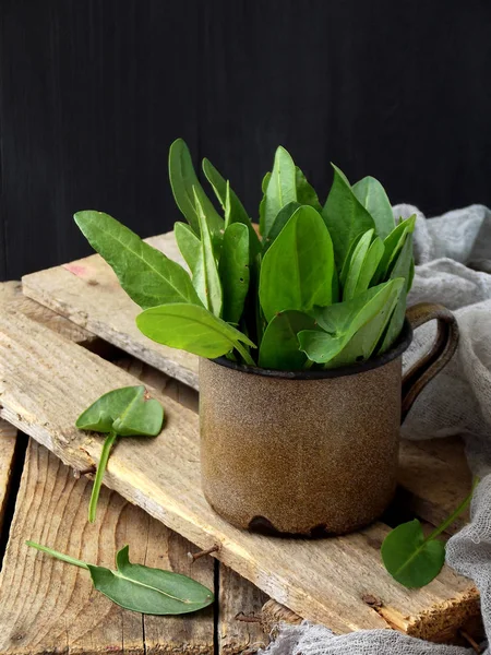 Свіжі органічні листя щавлю в металевій чашці для салату або супу. Перша весняна зелень. Концепція здорової їжі. Копіювати простір — стокове фото