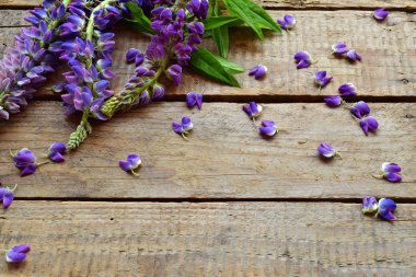 Pembe ve mor acı bakla çiçek sınır. Doğum günü, anneler günü, Sevgililer günü, Mart 8, kart veya davet düğün. Dekoratif çerçeve çiçek. Festival arka plan. Üstten Görünüm.