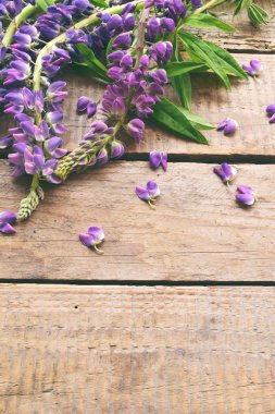 Pembe ve mor acı bakla çiçek sınır. Doğum günü, anneler günü, Sevgililer günü, Mart 8, kart veya davet düğün. Dekoratif çerçeve çiçek. Festival arka plan. Üstten Görünüm.