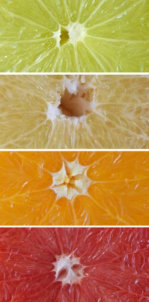 Ensemble d'agrumes : orange, pamplemousse, citron vert, mandarine. Fruits frais juteux biologiques. Source de vitamine C. Concept d'aliments sains. Produit végétarien. Produits crus biologiques . — Photo