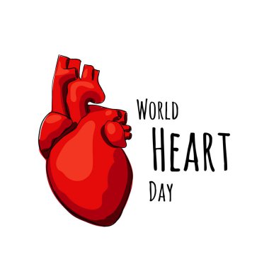 Vektör gerçek kalp bir beyaz arka plan üzerinde izole.