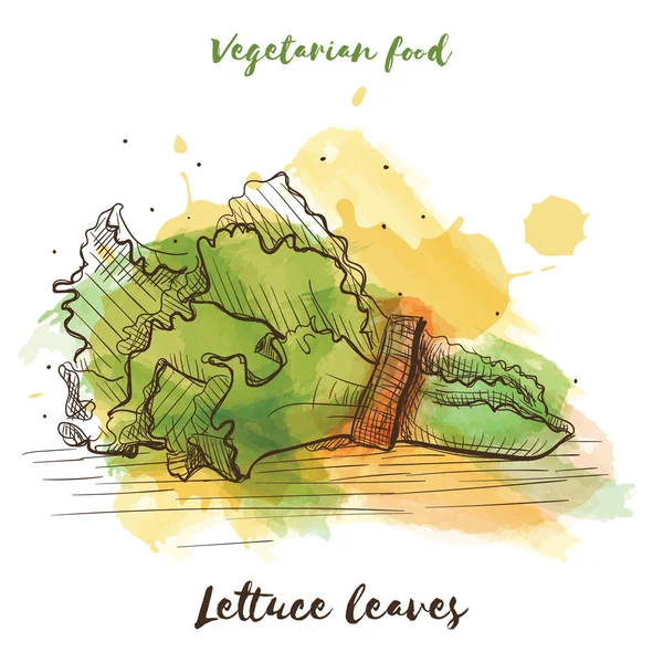 Vektoraquarell skizziert vegetarisches Essen. Öko-Lebensmittel. — Stockvektor