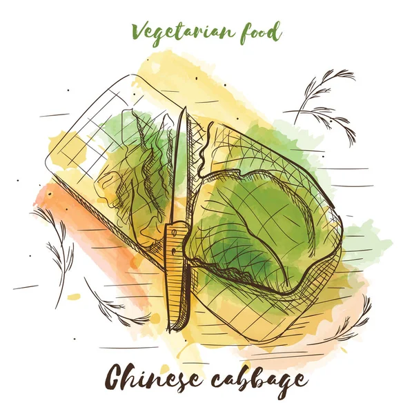 Vector aquarel schets vegetarisch voedsel. Eco voedsel. — Stockvector