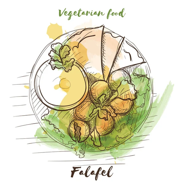 Vektoraquarell skizziert vegetarisches Essen. Öko-Lebensmittel. — Stockvektor