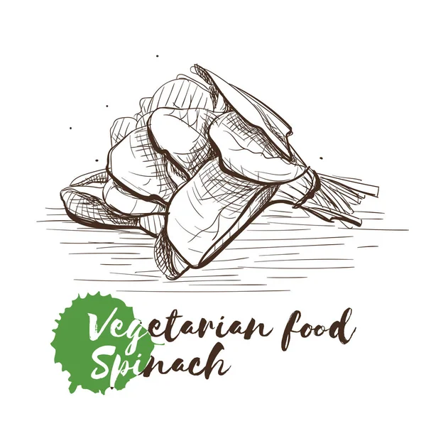 Vector hand getrokken schets van vegetarisch voedsel met voedsel naam. — Stockvector