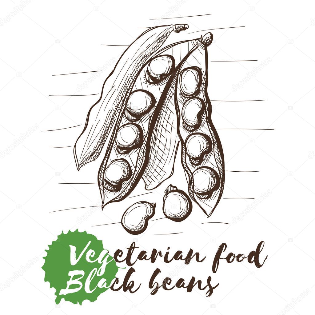Vector hand drawn sketch of vegetarian food with food name.