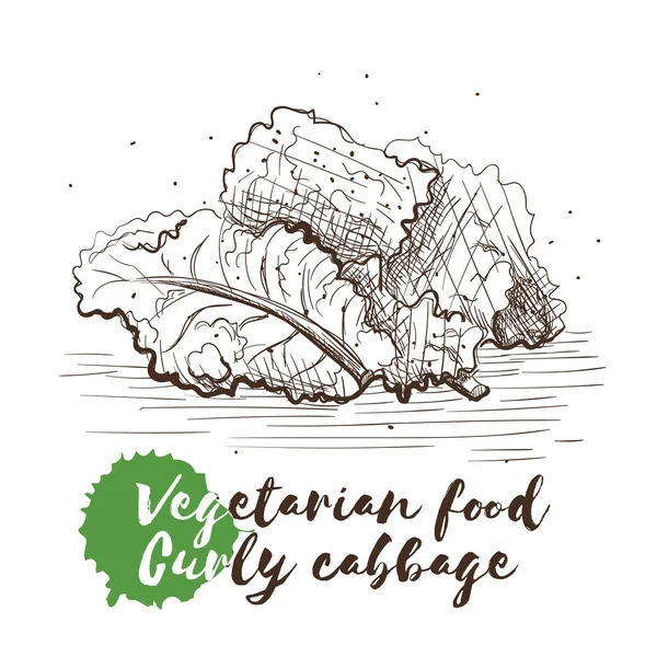 Vector hand getrokken schets van vegetarisch voedsel met voedsel naam. — Stockvector