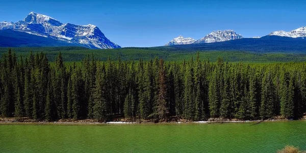 Candian Rockies. Valle del río Bow en el Parque Nacional Banff, Alberta, Canadá — Foto de Stock