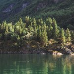 Vista panorâmica da natureza da Noruega no verão