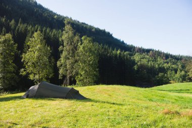 Yaz yatay, kamp çadır ormanda Gudvangen, Neirofjord, Norveç 