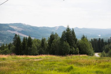 Norveç 'in en büyük kayak merkezi olan Trysil' in manzarası 